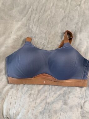 Wireless Blue and Mauve Comfort Bra - Women Intimates